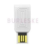 BURLESKE LOVENSE ADAPTADOR USB 1