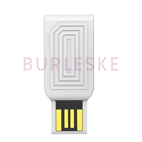 BURLESKE LOVENSE ADAPTADOR USB 1