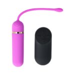 Oh!rgasmic Remote II