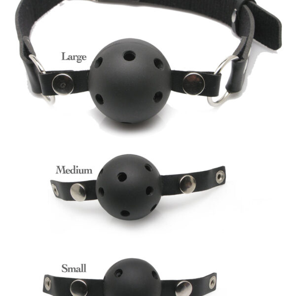 Pipedream Ball Gag Training System