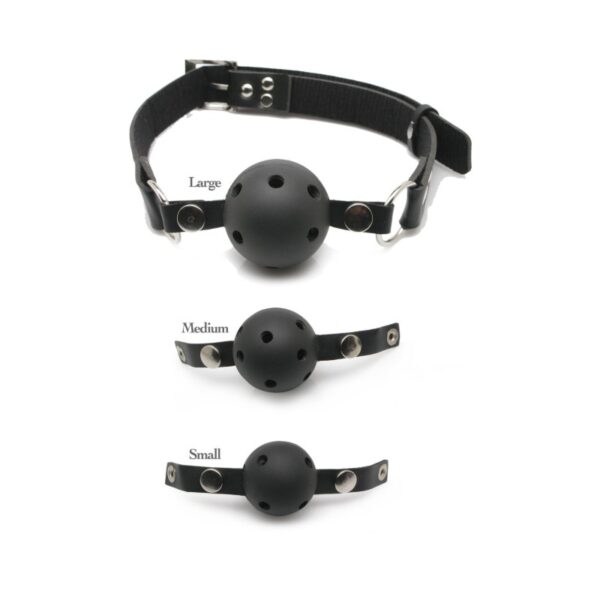 Pipedream Ball Gag Training System